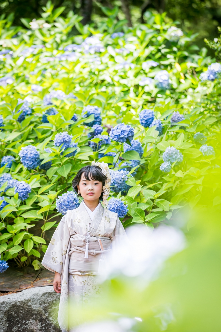 紫陽花でおしゃれにロケーション撮影
2024年受注会開催7/20.21 8/24.25
　　受注会ご予約で衣装・着付代がお得に
　ご予約お待ちしております